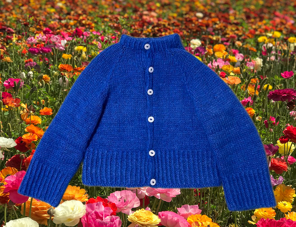 cardigan default image